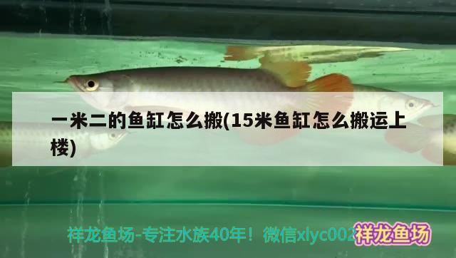 一米二的魚缸怎么搬(15米魚缸怎么搬運上樓)