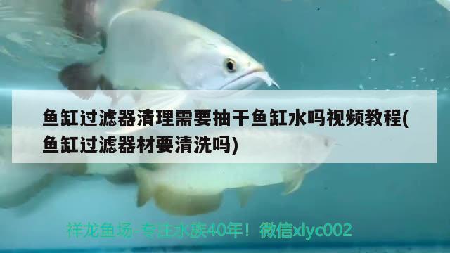 魚缸過濾器清理需要抽干魚缸水嗎視頻教程(魚缸過濾器材要清洗嗎) 觀賞龜/鱉飼料