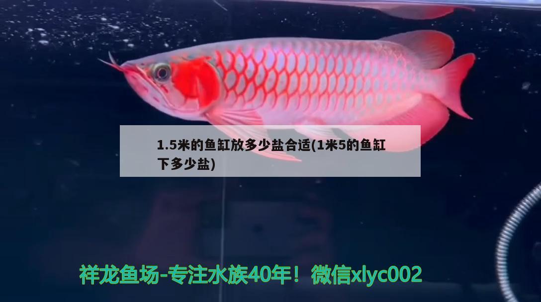 1.5米的魚缸放多少鹽合適(1米5的魚缸下多少鹽)