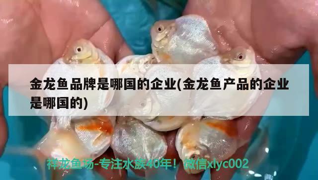 金龍魚品牌是哪國(guó)的企業(yè)(金龍魚產(chǎn)品的企業(yè)是哪國(guó)的)