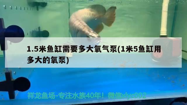 1.5米魚缸需要多大氧氣泵(1米5魚缸用多大的氧泵) 綠皮辣椒小紅龍