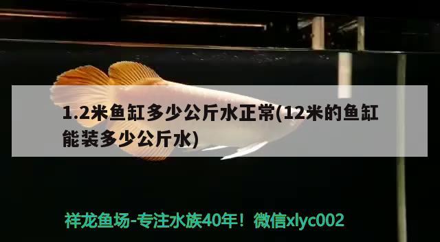 1.2米魚缸多少公斤水正常(12米的魚缸能裝多少公斤水)