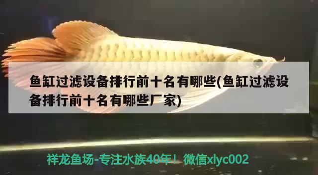 魚缸過濾設(shè)備排行前十名有哪些(魚缸過濾設(shè)備排行前十名有哪些廠家) 過濾設(shè)備