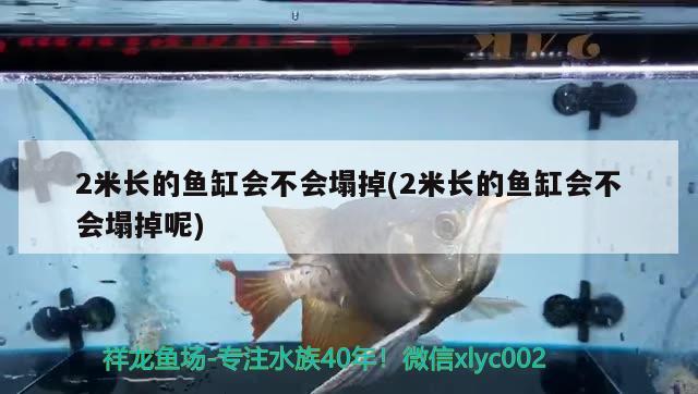 2米長的魚缸會不會塌掉(2米長的魚缸會不會塌掉呢)