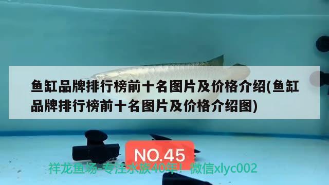 魚缸品牌排行榜前十名圖片及價(jià)格介紹(魚缸品牌排行榜前十名圖片及價(jià)格介紹圖)