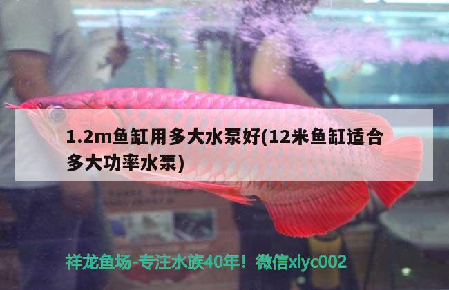 1.2m魚缸用多大水泵好(12米魚缸適合多大功率水泵)