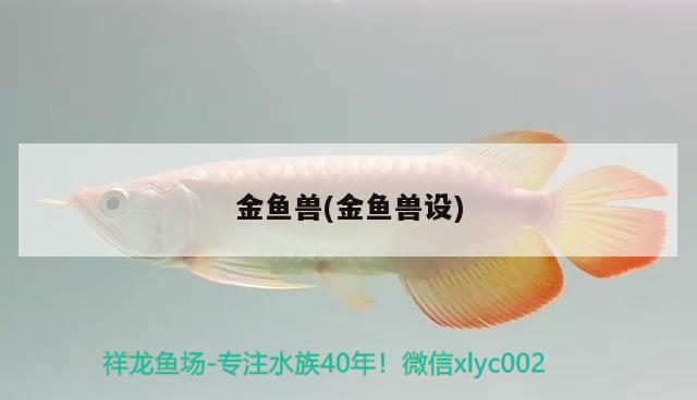 金魚獸(金魚獸設(shè))