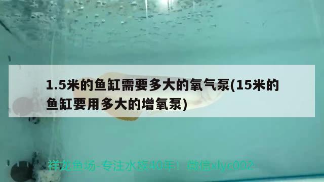 1.5米的魚缸需要多大的氧氣泵(15米的魚缸要用多大的增氧泵) 祥龍龍魚專用水族燈 第1張