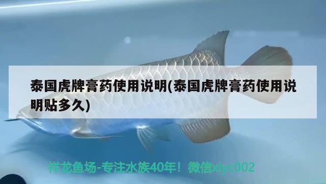 泰國(guó)虎牌膏藥使用說(shuō)明(泰國(guó)虎牌膏藥使用說(shuō)明貼多久)