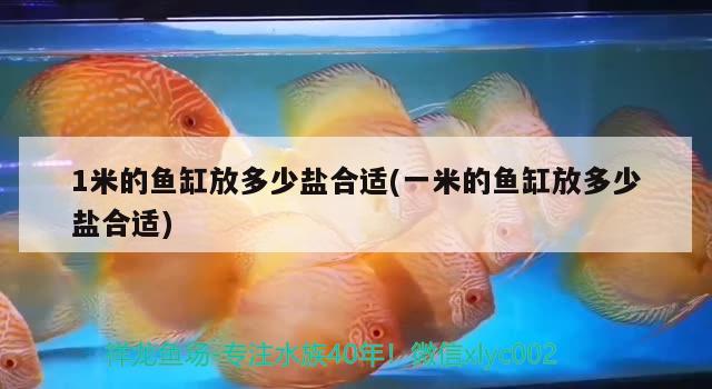 1米的魚缸放多少鹽合適(一米的魚缸放多少鹽合適)