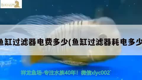 魚缸過(guò)濾器電費(fèi)多少(魚缸過(guò)濾器耗電多少)