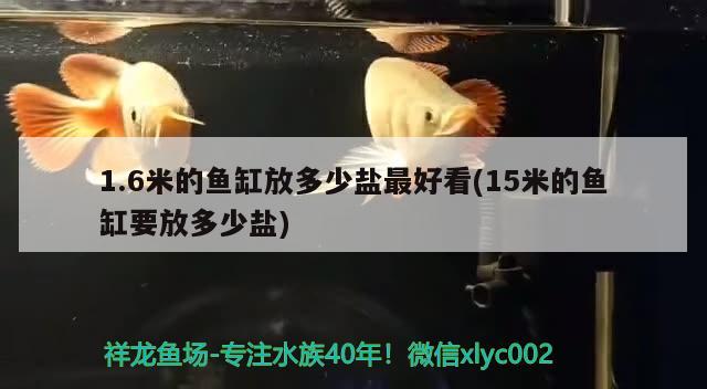 1.6米的魚缸放多少鹽最好看(15米的魚缸要放多少鹽) 馬拉莫寶石魚