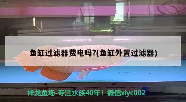 魚缸過濾器費(fèi)電嗎?(魚缸外置過濾器) 申古銀版魚