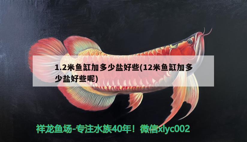 1.2米魚缸加多少鹽好些(12米魚缸加多少鹽好些呢) 檸檬鯽