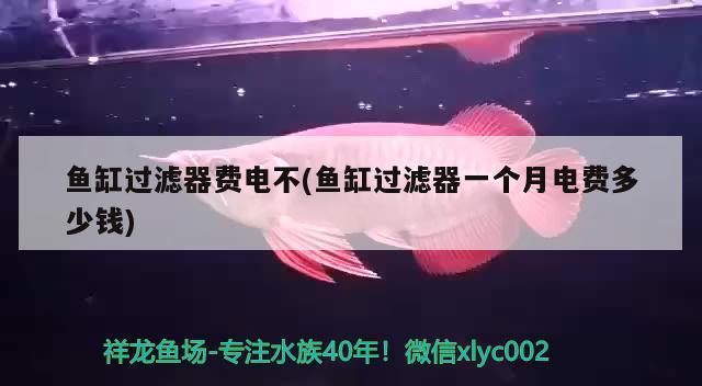 魚缸過濾器費(fèi)電不(魚缸過濾器一個(gè)月電費(fèi)多少錢)