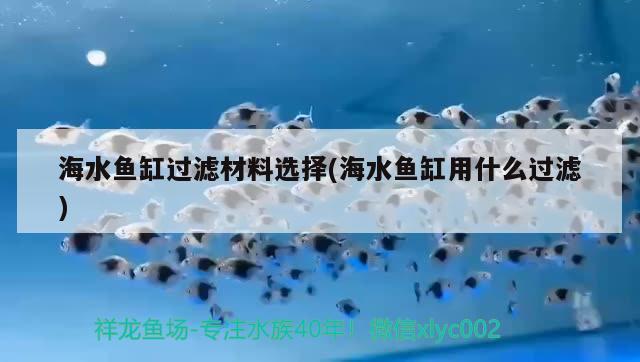 海水魚缸過濾材料選擇(海水魚缸用什么過濾)