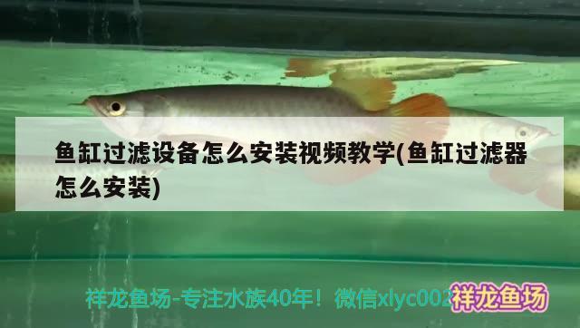 魚缸過濾設備怎么安裝視頻教學(魚缸過濾器怎么安裝) 過濾設備 第2張