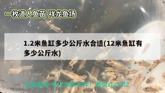 1.2米魚缸多少公斤水合適(12米魚缸有多少公斤水) 印尼虎苗