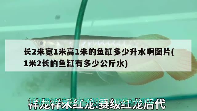 長(zhǎng)2米寬1米高1米的魚缸多少升水啊圖片(1米2長(zhǎng)的魚缸有多少公斤水)