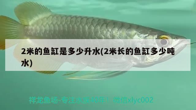 2米的魚缸是多少升水(2米長的魚缸多少噸水)