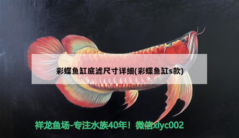 彩蝶魚缸底濾尺寸詳細(xì)(彩蝶魚缸s款)