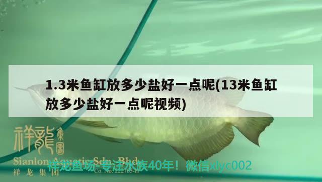 1.3米魚缸放多少鹽好一點(diǎn)呢(13米魚缸放多少鹽好一點(diǎn)呢視頻) 粗線銀版魚