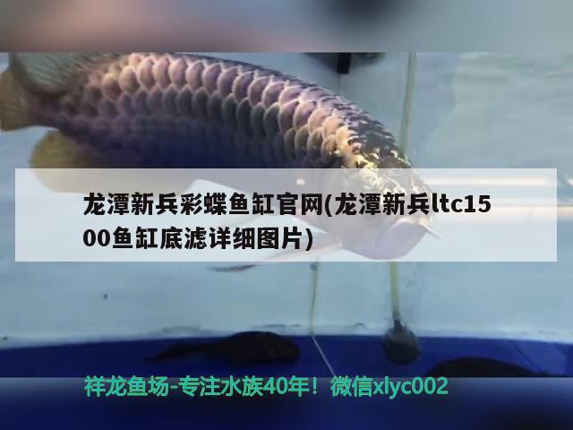 龍?zhí)缎卤实~缸官網(龍?zhí)缎卤鴏tc1500魚缸底濾詳細圖片) 彩鰈魚缸（彩蝶魚缸）