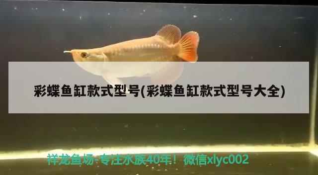 彩蝶魚缸款式型號(彩蝶魚缸款式型號大全)