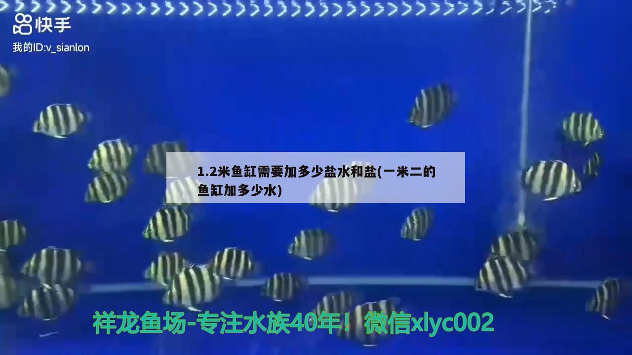 1.2米魚(yú)缸需要加多少鹽水和鹽(一米二的魚(yú)缸加多少水) 銀龍魚(yú)苗