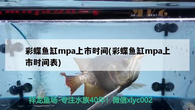 彩蝶魚缸mpa上市時間(彩蝶魚缸mpa上市時間表) 彩鰈魚缸（彩蝶魚缸）