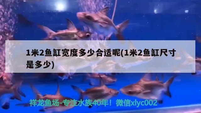 1米2魚缸寬度多少合適呢(1米2魚缸尺寸是多少)