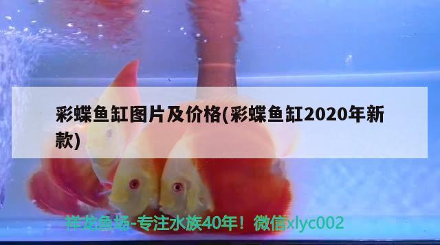 彩蝶魚缸圖片及價格(彩蝶魚缸2020年新款)