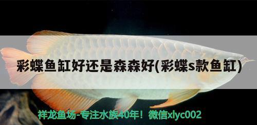 彩蝶魚(yú)缸好還是森森好(彩蝶s款魚(yú)缸)