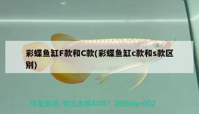 彩蝶魚(yú)缸F款和C款(彩蝶魚(yú)缸c款和s款區(qū)別) 彩鰈魚(yú)缸（彩蝶魚(yú)缸）