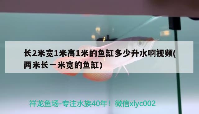 長2米寬1米高1米的魚缸多少升水啊視頻(兩米長一米寬的魚缸)