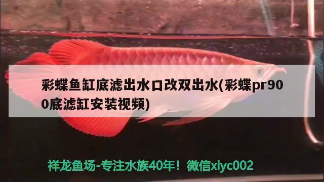 彩蝶魚(yú)缸底濾出水口改雙出水(彩蝶pr900底濾缸安裝視頻) 彩鰈魚(yú)缸（彩蝶魚(yú)缸）