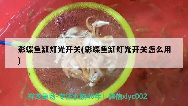 彩蝶魚缸燈光開關(彩蝶魚缸燈光開關怎么用)