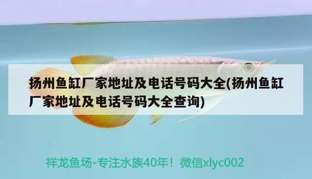 揚(yáng)州魚(yú)缸廠家地址及電話號(hào)碼大全(揚(yáng)州魚(yú)缸廠家地址及電話號(hào)碼大全查詢) 委內(nèi)瑞拉奧里諾三間魚(yú)苗