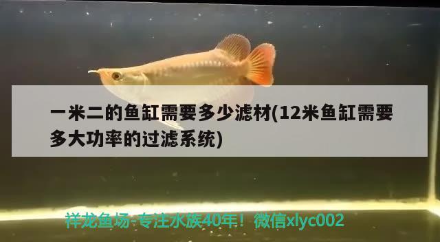 一米二的魚缸需要多少濾材(12米魚缸需要多大功率的過濾系統(tǒng))