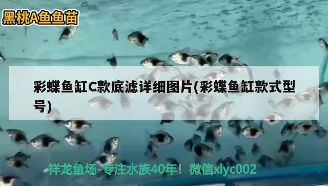 彩蝶魚缸C款底濾詳細(xì)圖片(彩蝶魚缸款式型號)