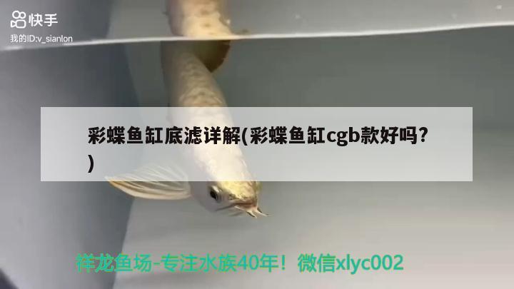 彩蝶魚缸底濾詳解(彩蝶魚缸cgb款好嗎?) 彩鰈魚缸（彩蝶魚缸）