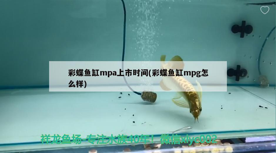 彩蝶魚缸mpa上市時間(彩蝶魚缸mpg怎么樣) 彩鰈魚缸（彩蝶魚缸）