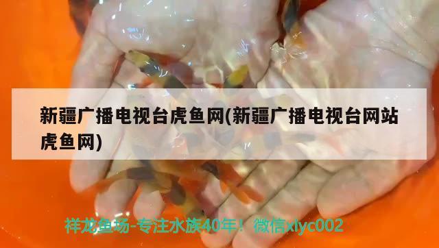 新疆廣播電視臺虎魚網(wǎng)(新疆廣播電視臺網(wǎng)站虎魚網(wǎng))