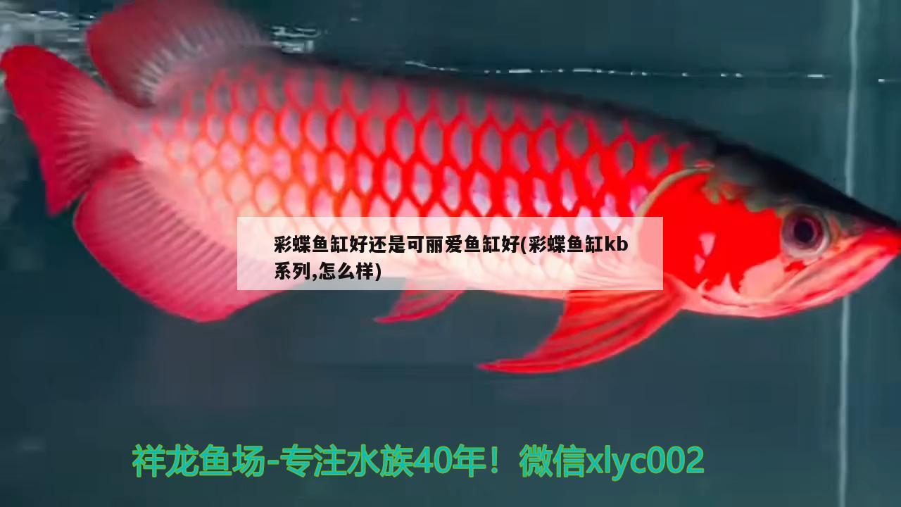 彩蝶魚缸好還是可麗愛魚缸好(彩蝶魚缸kb系列,怎么樣) 彩鰈魚缸（彩蝶魚缸）