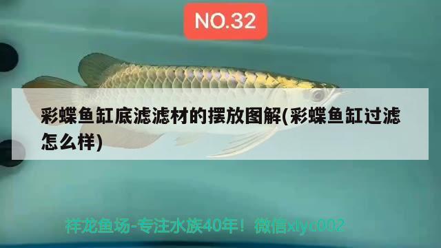 彩蝶魚缸底濾濾材的擺放圖解(彩蝶魚缸過濾怎么樣) 彩鰈魚缸（彩蝶魚缸）