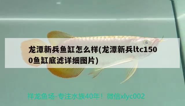 龍?zhí)缎卤~(yú)缸怎么樣(龍?zhí)缎卤鴏tc1500魚(yú)缸底濾詳細(xì)圖片)