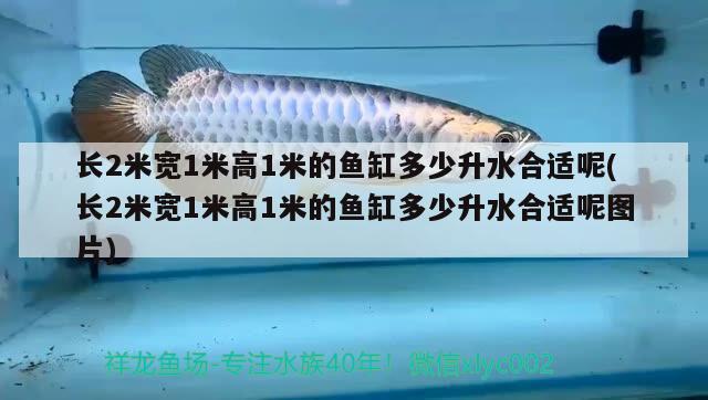 長2米寬1米高1米的魚缸多少升水合適呢(長2米寬1米高1米的魚缸多少升水合適呢圖片)