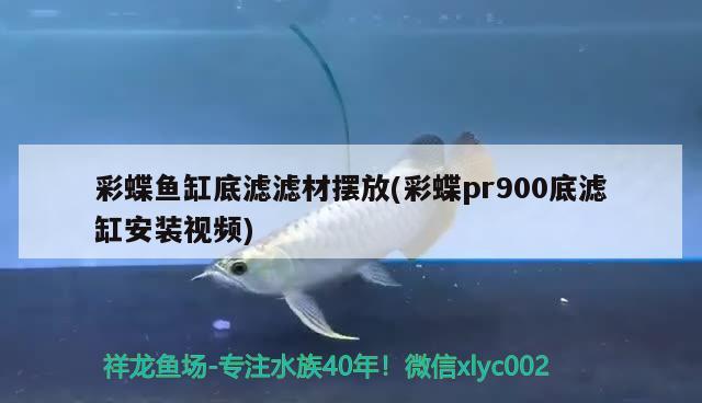 彩蝶魚缸底濾濾材擺放(彩蝶pr900底濾缸安裝視頻) 彩鰈魚缸（彩蝶魚缸）