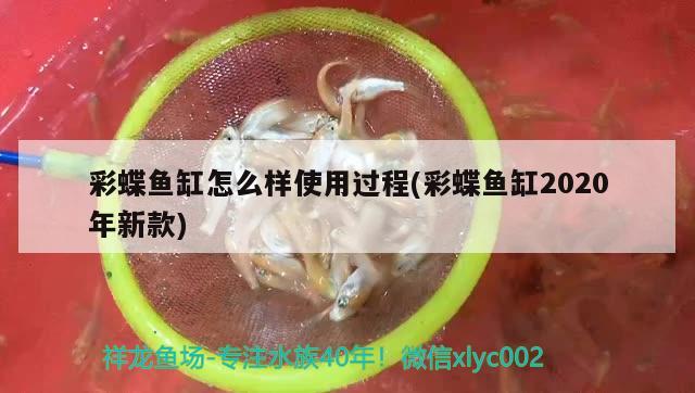 彩蝶魚(yú)缸怎么樣使用過(guò)程(彩蝶魚(yú)缸2020年新款)