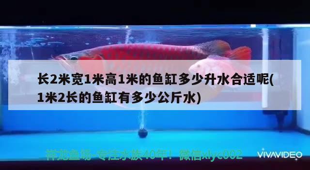 長2米寬1米高1米的魚缸多少升水合適呢(1米2長的魚缸有多少公斤水) 飛鳳魚苗